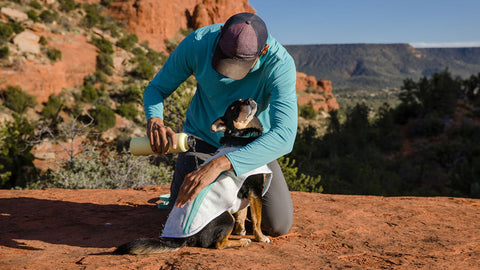 Swamp Cooler™ Cooling Pet Vest