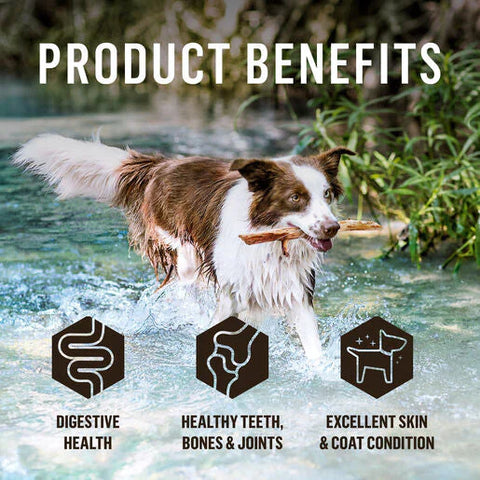 BARF Frozen Dog Food – Beef