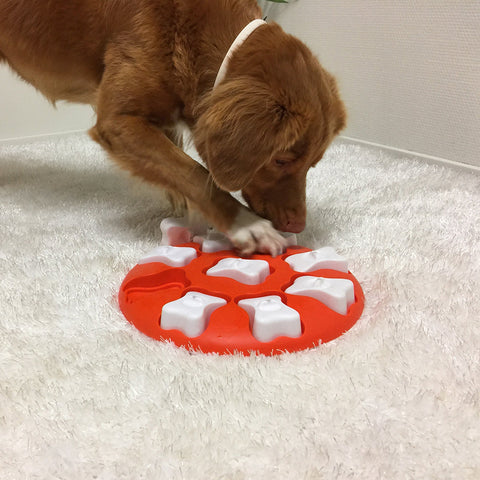 DOG PUZZLE GAME - DOG SMART