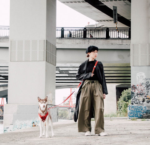 Explore - Leash