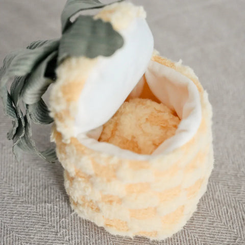 PINEAPPLE POP - Bouncy + Crinkly Toy