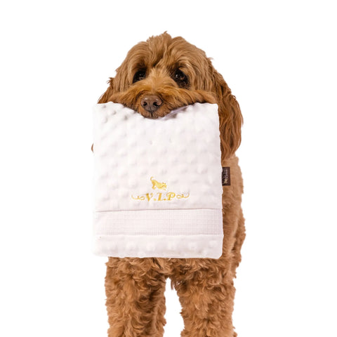 Dog Plush Toy - Pawfectly Plush Towel