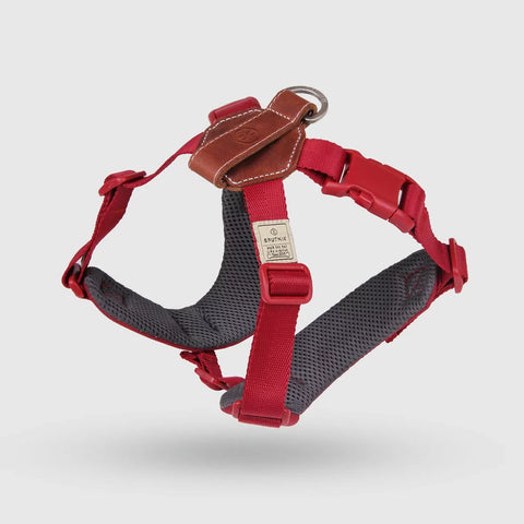 Explore - Harness