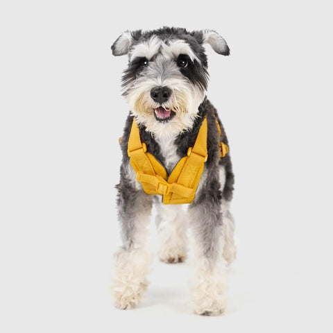 Explore - Harness