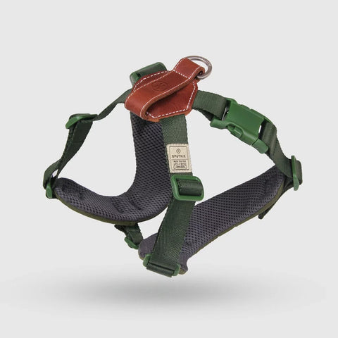 Explore - Harness