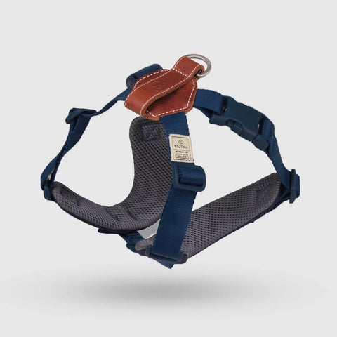 Explore - Harness