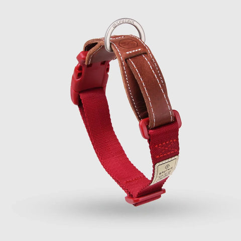 Explore - Collar
