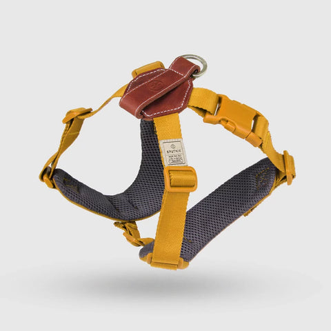Explore - Harness