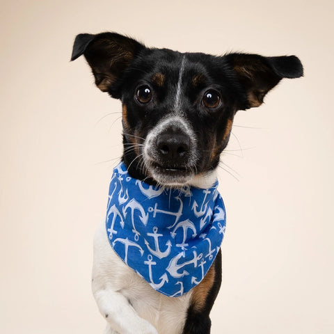 Dog Bandana - Oceans