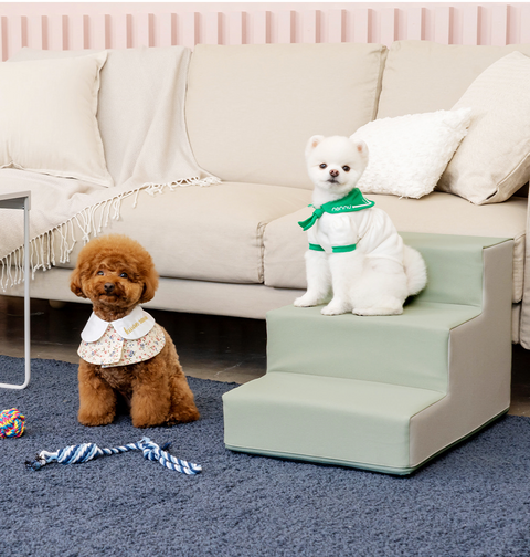 【PRE-ORDER】Non-Slip Pet Step