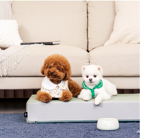 【PRE-ORDER】Non-Slip Pet Step 1-Tier