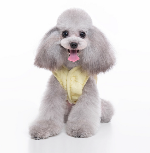 Quilted Pet Clothing