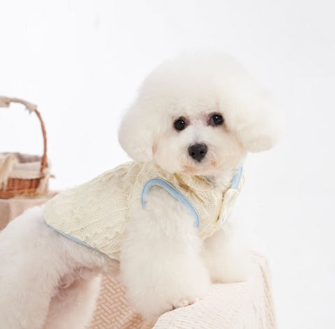 Sleeveless Woven Jacket