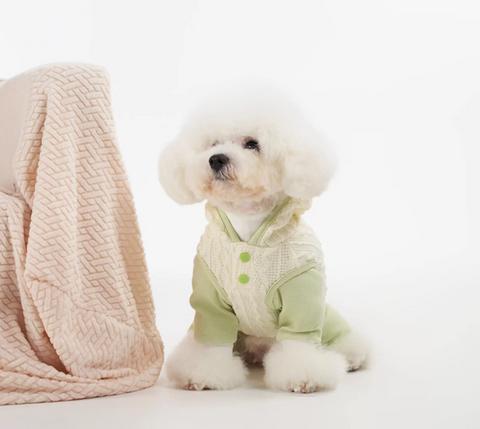 Sleeveless Woven Jacket