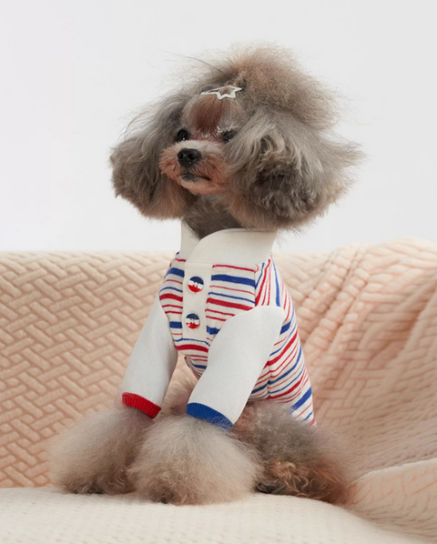 Striped Knitted Sweater