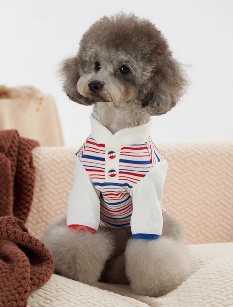 Striped Knitted Sweater