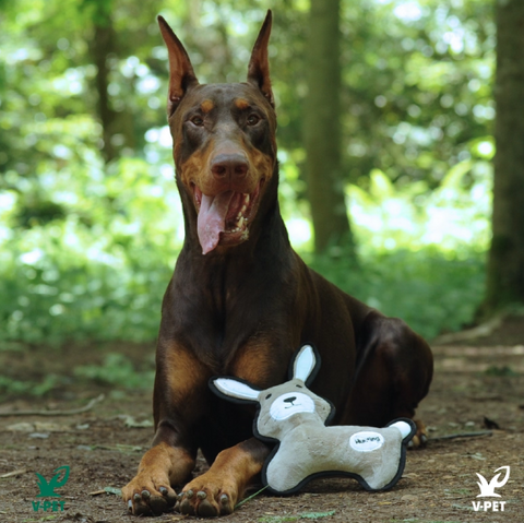 Rough & Tough Toy - No Hunting