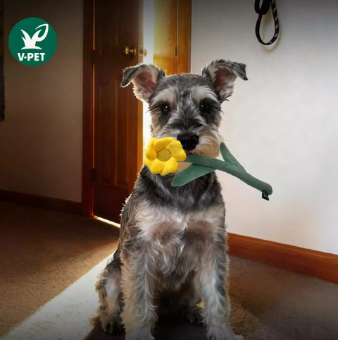 Floral - Eco-Friendly Small Dog Toys