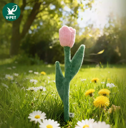 Floral - Eco-Friendly Small Dog Toys