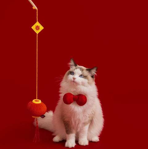 Seasonal Toys - Cat toy - Lunar New Year Series