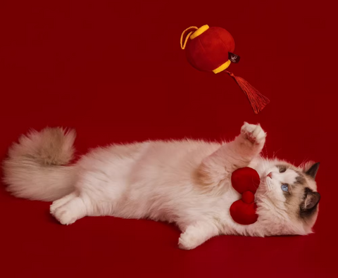 Seasonal Toys - Cat toy - Lunar New Year Series