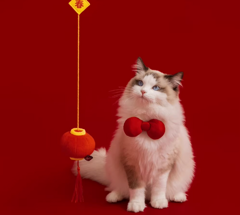 Seasonal Toys - Cat toy - Lunar New Year Series