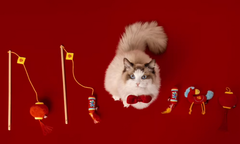 Seasonal Toys - Cat toy - Lunar New Year Series