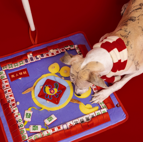 Seasonal Toys - Dog toy - Lunar New Year Series