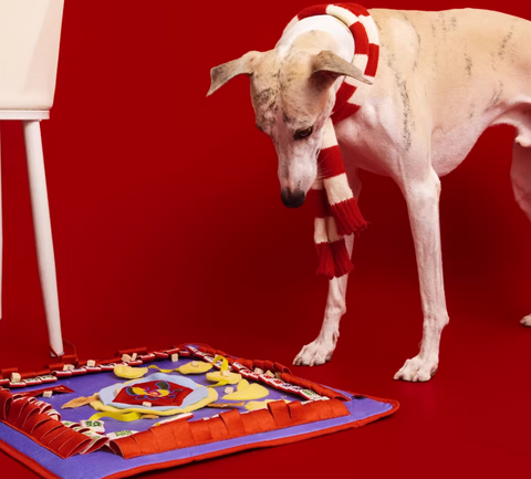 Seasonal Toys - Dog toy - Lunar New Year Series