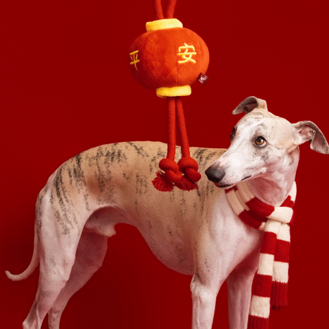 Seasonal Toys - Dog toy - Lunar New Year Series
