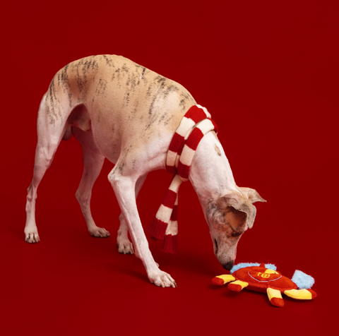 Seasonal Toys - Dog toy - Lunar New Year Series