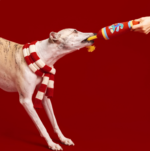 Seasonal Toys - Dog toy - Lunar New Year Series