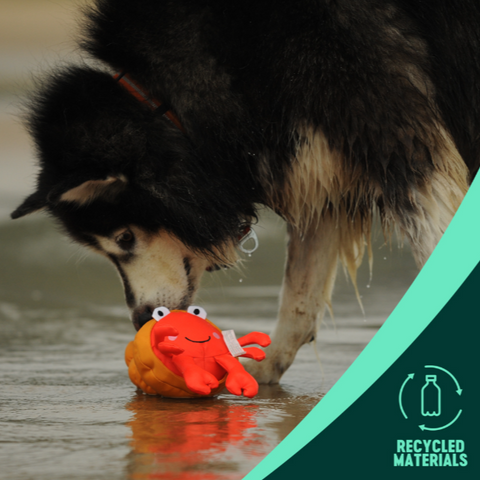 Save Our Sea - Dog rpet toys