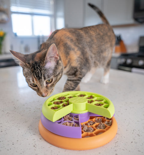 CAT PUZZLE & FEEDER IN ONE - KITTY LICKIN' LAYERS