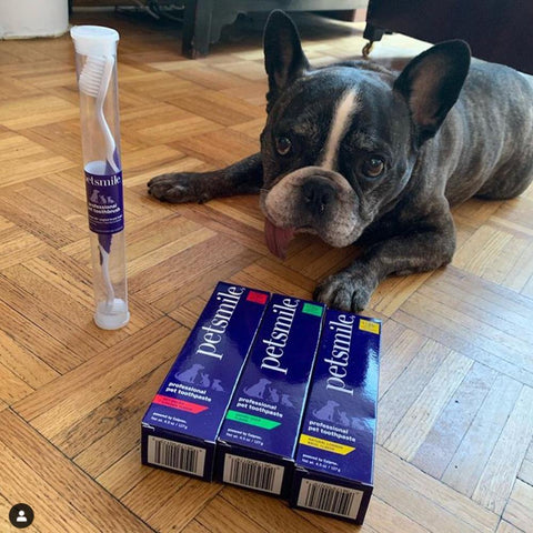 Dual-Ended Pet Toothbrush - Petisan