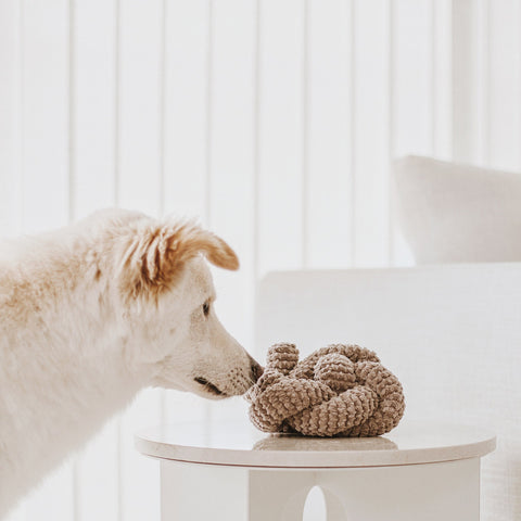 Nou - make your own play object