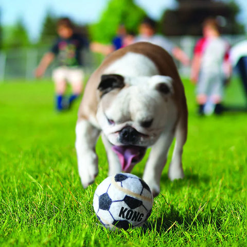 Sport Balls (non-squeaky)