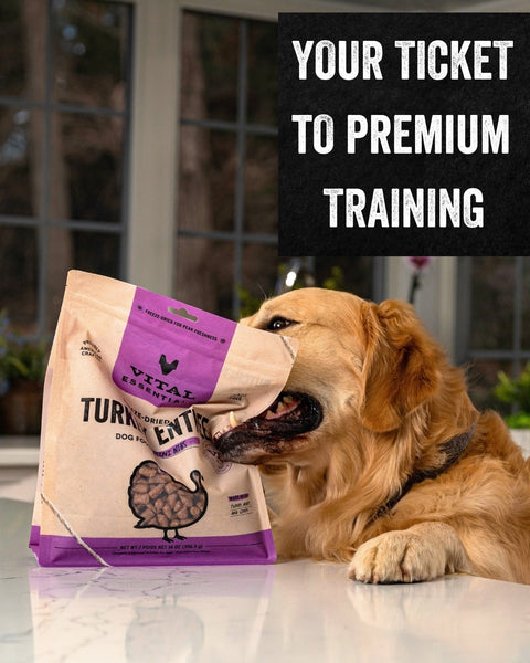 Vital Essentials - Freeze Dried Raw Dog Food - Turkey Mini Nibs