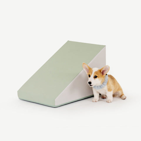 【PRE-ORDER】Non-Slip Pet Slide