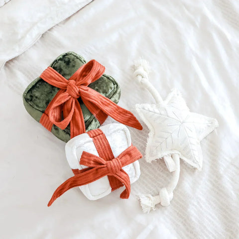 Holiday Star Dog Toy