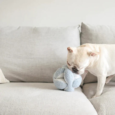MONTI Crinkle + Squeaky Snuffle Ball