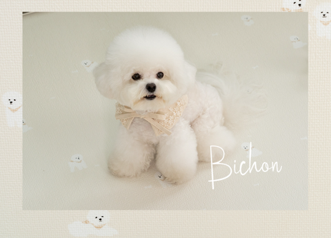 【PRE-ORDER】Non-Slip Waterproof Pet Mat - Rug 整體款 (Breed Pattern)