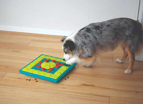 DOG PUZZLE GAME - MULTIPUZZLE