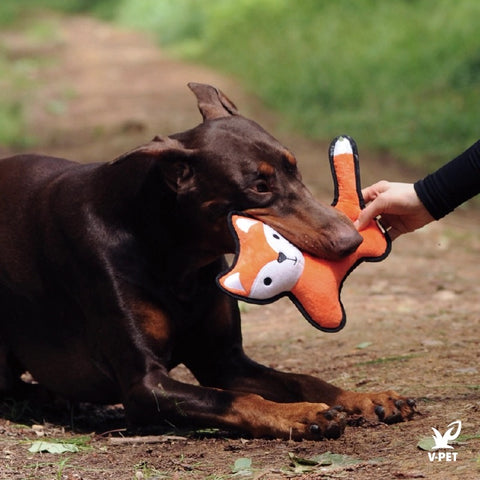 Rough & Tough Toy - No Hunting