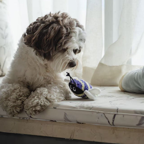 Buzz and chirp - Eco-Friendly Small Dog Toys