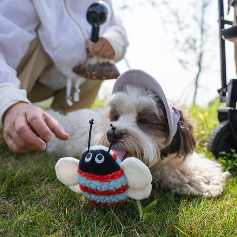 Buzz and chirp - Eco-Friendly Small Dog Toys