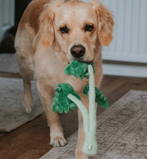 Floral - Eco-Friendly Small Dog Toys