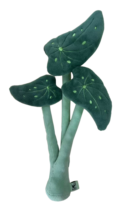 Floral - Eco-Friendly Small Dog Toys