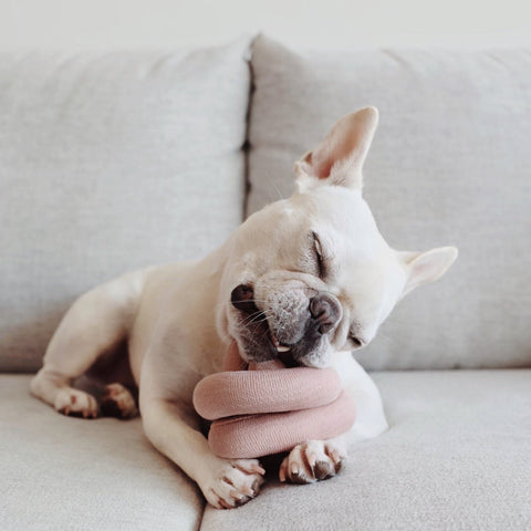 Nou Nou - make your own play object for puppies + kitties