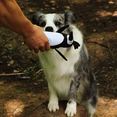 We Are Friends - Dog  rpet toys
